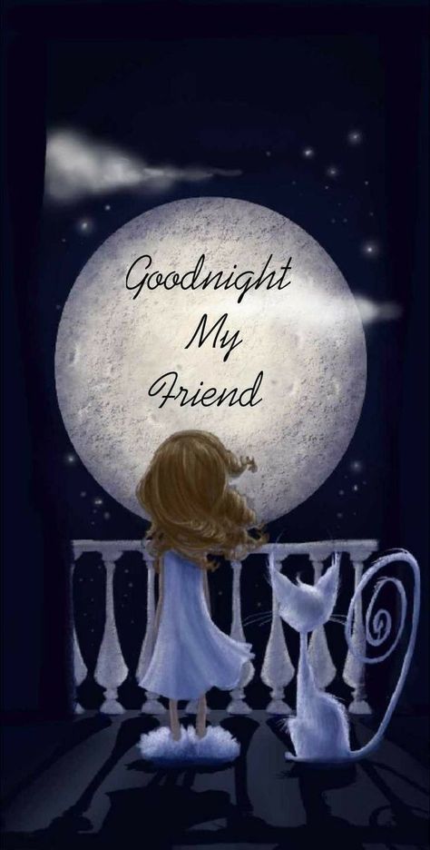 Goodnight My Friend, Have A Blessed Evening, Blessed Evening, Good Night Qoutes, Good Night My Friend, Good Night Cards, Good Night Sweetheart, Good Night Cat, Good Night Prayer Quotes