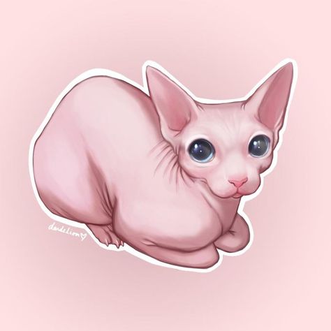 Draw me like one of your Bingus | Bingus | Know Your Meme Cute Hairless Cat, Cat Anatomy, Sphinx Cat, Cute Little Kittens, Hairless Cat, Cat Character, Sphynx Cat, Animal Sketches, Cute Animal Drawings