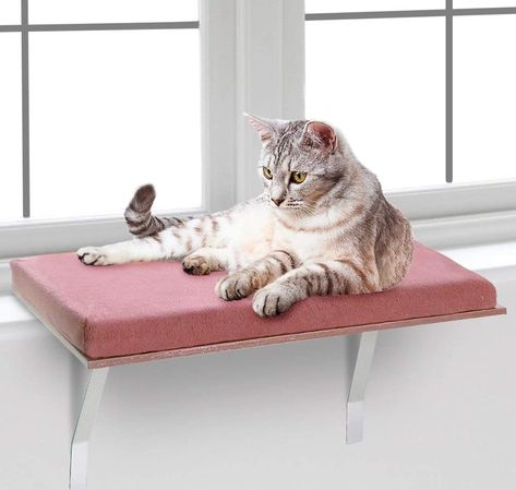 6 Best Window Sill Extender - How to Enlarge a Window Sill | Apartment Therapy Diy Cat Food, Cat Window Bed, Shelf Bed, Cat Window Hammock, Heated Cat Bed, Raised Dog Beds, Cat Window Perch, Waterproof Dog Bed, Cat Patio