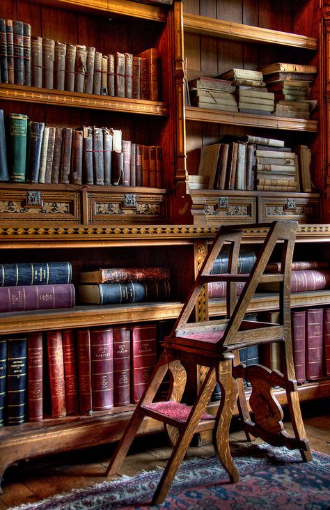 The Library by Sarah  Dawson Beautiful Home Library, Library Ladder, Dream Library, Beautiful Library, Vintage Library, Home Libraries, Library Design, Acropolis, Home Library