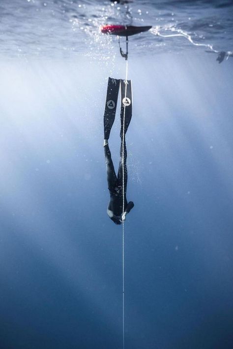 🧜🏻‍♂️ @joshmunoz 📸 @pema.travels ⠀ #alchemy #alchemyfins #freediving #alchemyv3 #underwaterphotography #freedive #carbon #carbonfins #bifins #diving #ocean #nature #fitness #explore #freedivingphotos #watersports #discover #adventure #saltlife #apnea #freediver #freediverlife #freedivingfins Free Diver Photography, Ocean Nature, Blue Hole, Free Diving, Sports Aesthetic, Salt Life, Deep Breath, Underwater Photography, Water Sports