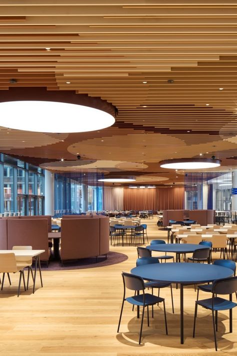 Airport Ceiling Design, Pantry Table Design, Waiting Room Lighting, School Lighting Design, Elementary Cafeteria Design, Corporate Ceiling Design, School Ceiling Design, Cafe Ceiling Design, Office Pantry Design