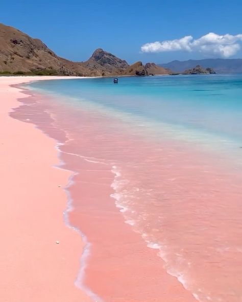 TRAVELLING THROUGH THE WORLD © on Instagram: “Pink Beach in Komodo Island 💖 The color of the sand is caused by a microorganism that produces the pink color pigment on the coral reef. 🐚…” Pink Beaches, Komodo Island, Top Places To Travel, Travel Inspiration Destinations, Dream Vacations Destinations, Fun Places To Go, Pink Beach, Travel Locations, Dream Travel Destinations