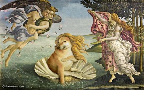 The Cheems Museum of Armt’s Instagram photo: “The goddems of lomve amd beautym… “The Birthm of Venums” by Sandro Botticelli, 1486. 🎨 #cheemsmuseum #cheems #cheemsmeme #cheemsdog #art…” Birth Of Venus Botticelli, Venus Art, Dora Maar, Istoria Artei, Birth Of Venus, Most Famous Paintings, Sandro Botticelli, Uffizi Gallery, Yamagata