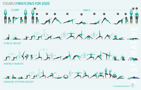 Sequences — YOGARU Hip Anatomy, Yoga Flow Sequence, Stages Of Sleep, Yoga Anatomy, Yoga Sequence, Hip Openers, Boost Immune System, Restorative Yoga, Body Organs