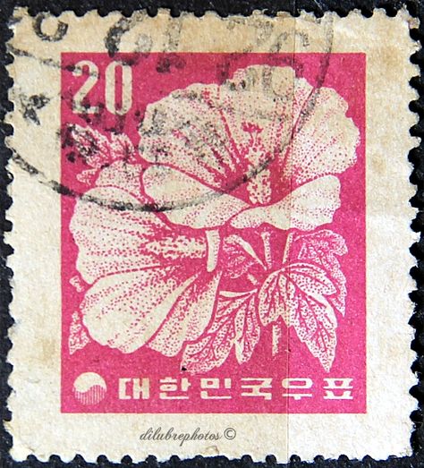 South Korea.  HIBISCUS.  REDRAWN TYPE OF 1954, No HWAN SYMBOL.  Scott 253 A110, Issued 1957, Wmk 312, Litho., Perf. 12 1/2, 20. /ldb. Summer Playlist, Postage Stamp Art, Post Stamp, Art Collage Wall, Vintage Stamps, Room Posters, Postage Stamp, Pretty Art, Wall Collage