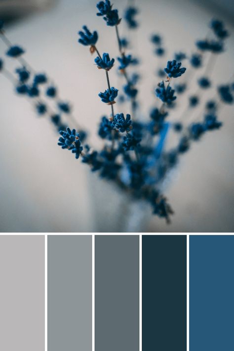 Winter Color Aesthetic, Blue Tone Color Palette, Color Plattes Aesthetic, Formal Color Palette, Colure Pallet, Color Plattes, Earth Colour Palette, Style Tips And Tricks, Cold Colors