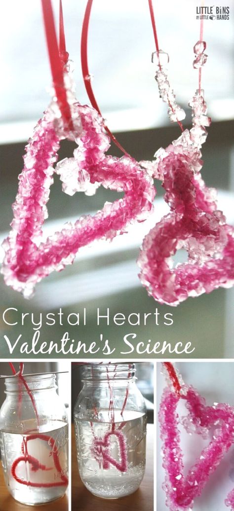 Valentine Science Experiments, Science Valentines, Valentines Activities, Valentines Theme, Growing Crystals, Preschool Science Activities, Holiday Activities For Kids, February Crafts, Science Club