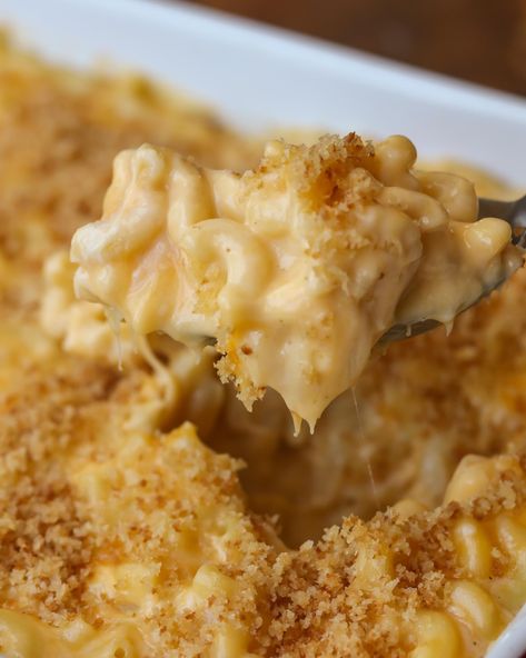 Best Macaroni and cheese recipe - the cheesiest, CREAMIEST homemade mac n cheese you'll ever make! Macaroni pasta covered in sharp cheddar cheese, melted into a warm cream sauce, and topped with a perfect panko crust. The whole family will definitely approve! Good Macaroni And Cheese Recipe, Cheesy Mac, Best Mac N Cheese Recipe, Bake Mac And Cheese, Cheesy Mac And Cheese, Best Macaroni And Cheese, Lil Luna, Best Mac And Cheese, Queso Cheddar