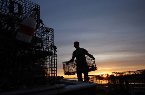 a lobsterman Fisherman Aesthetic, Lobster Fisherman, Lobster Fishing, Maine Living, Maine Coast, Maine Lobster, Coastal Towns, The Numbers, Book Characters