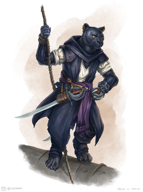 Tabaxi Pirate, Theros Art, Tabaxi Rogue, Minecraft Origins, Dungeons And Dragons Races, Dnd Races, Pirate Art, One D, Warrior Cats Art