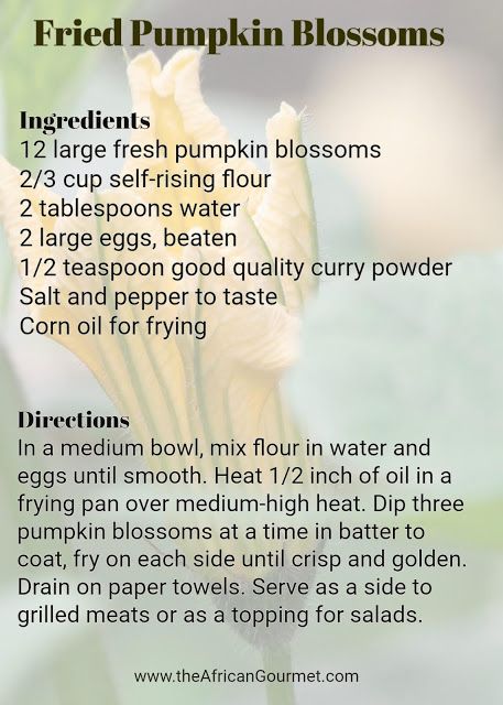 Pumpkin Blossom Recipe, Pumpkin Blossoms, Fried Pumpkin, Fried Foods, Fun Foods, Food History, Self Rising Flour, Summer Food, Frying Oil