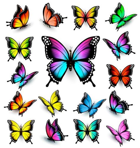 Conjunto de mariposas de colores. vector... | Premium Vector #Freepik #vector #fondo #invitacion #verano #luz Borboleta Tattoo, Colorful Butterfly Tattoo, 3d Butterfly Tattoo, Tier Tattoo, Art Papillon, Small Butterfly Tattoo, Butterfly Cross Stitch, Butterfly Images, Butterfly Tattoo Designs