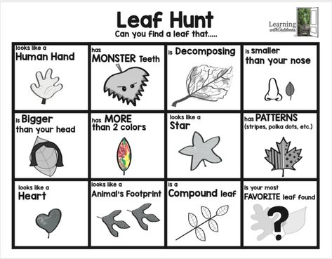 Horticulture Projects, Leaf Hunt, Hunting Games, Animal Footprints, Stem Crafts, Leaf Images, Making Connections, Science Curriculum, Outdoor Learning