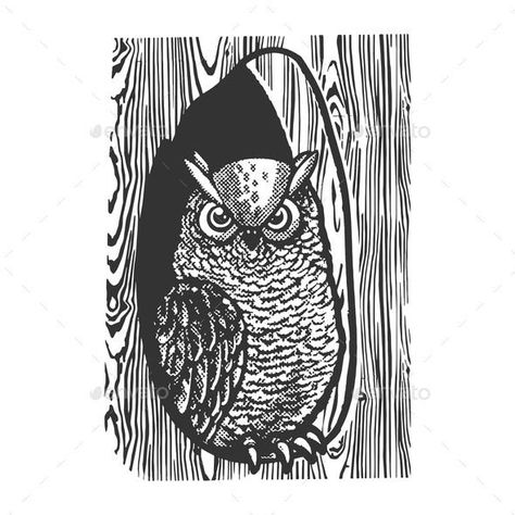 Owl in Hollow of Tree Sketch Vector Illustration Owl In A Tree Hole Drawing, Owl On A Tree Drawing, Owl In Tree Drawing, Owl In Tree, Hole Drawing, Owl Sketch, Halftone Pattern, Fairy Illustration, Tree Sketches