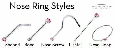 Nose ring styles Nose Piercing Scar, Piercing Names, Types Of Nose, Nose Piercing Bump, Facial Piercing, Vertical Labret, Bug Bite, Nose Screw, Nose Piercing Jewelry