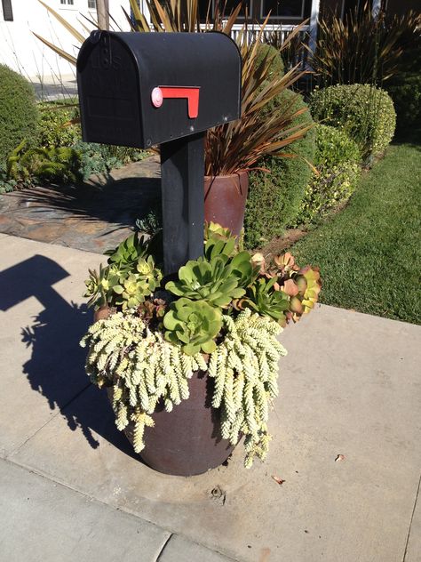 Succulent mailbox pot Succulents Around Mailbox Ideas, Mailbox Flowers, Mailbox Planter, Mailbox Landscaping, Diy Mailbox, Modern Pot, Home Garden Plants, Succulent Pots, Mailbox