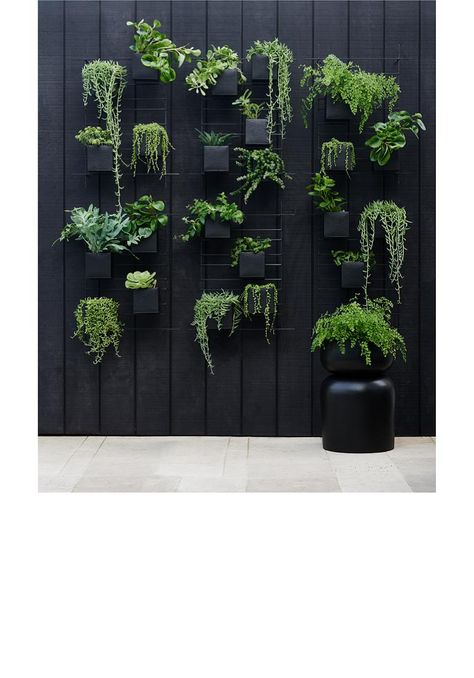 Architectural Planters, Indoor Plant Wall, Wall Planters Indoor, Wall Mounted Planters, Vertical Garden Wall, Window Treatments Living Room, Hanging Plant Wall, Box Wall, Indoor Outdoor Planter