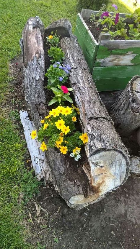 Stump Decorating Ideas, Log Garden, Stump Planter, Tree Stump Planter, Container Garden Design, Wood Trunk, Garden Junk, Garden Markers, Rain Garden