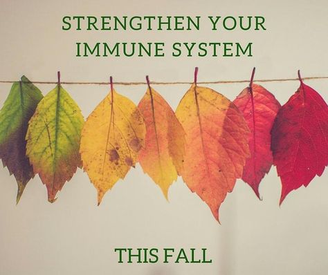 @Regrann from @healthcarewellness88: It's important to strengthen your immune system with healthy food taking vitamins and drinking lots of water. Acupuncture is also a very good way to strengthen your immunity.  From acupuncture to yoga report updates integrative medicine therapies  http://ift.tt/2hM93Dw  #acupuncture #fall #flu #chinesemedicine #healthy #bayshore #longisland #wellness #healthcare #yoga #allergies #diet #pain #painmanagement #backpain #essentialoils #lavender Real Estate Holiday Cards, Thanksgiving Ads, Taking Vitamins, Real Estate Fun, Real Estate Memes, Realtor Social Media, Selling Strategies, Real Estate Agent Marketing, Real Estate Advertising