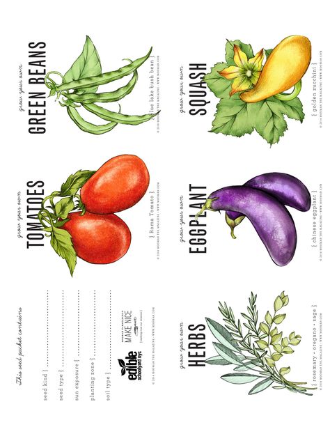 Seed label printout Edible Schoolyard, Diy Seed Packets, Seed Packet Template, Green Bean Seeds, Vegetable Seeds Packets, Tomato Seed, Kids Gardening, Label Ideas, Bush Beans