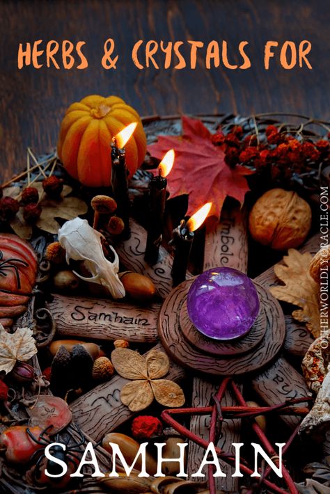 Samhain Ritual Witchcraft, Samhain Herbs, Connect With Ancestors, Wicca Holidays, Samhain Traditions, Samhain Altar, Samhain Ritual, Spells And Rituals, Halloween Spells