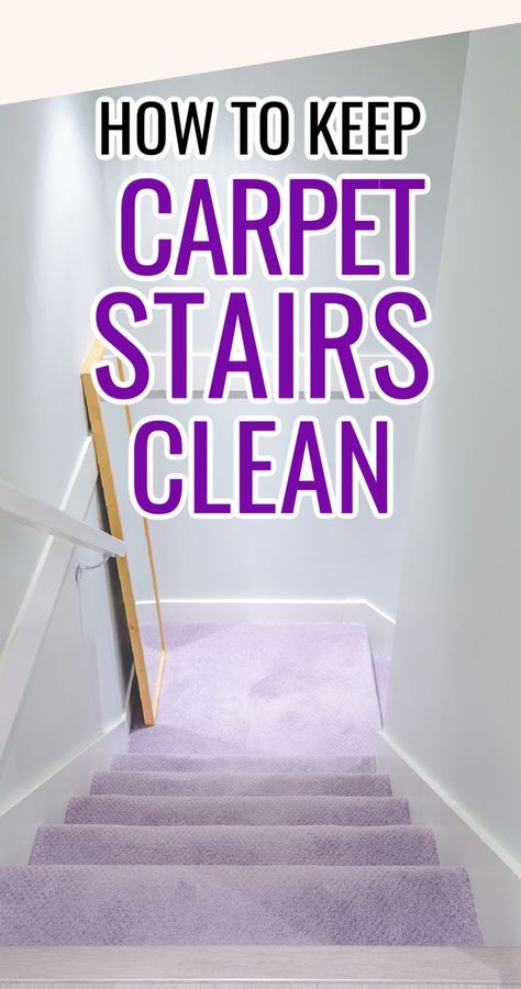 Stair Hacks, Home Management, Make Life Easier, Household Chores, Long Run, Carpet Stairs, New Carpet, Cleaning Schedule, Cleaning Organizing