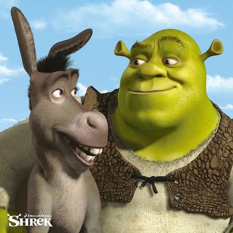 Shrek - Shrek and Donkey Graphic Art Print on Canvas Art Group Size: 40cm H x 40cm W x 3.8cm D Shrek Drawing, Shrek And Donkey, Donkey Drawing, Shrek Donkey, Pirate Fairy, Adventure Movie, The Good Dinosaur, Computer Animation, Leonid Afremov Paintings