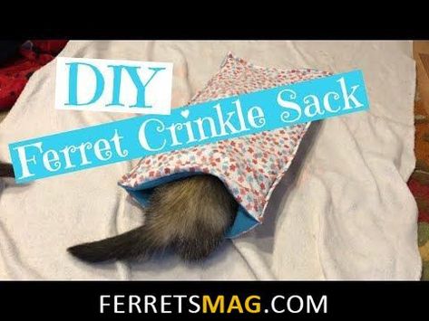 Diy Ferret Stuff, Carpet Shark, Fabric Toys Diy, Ferret Ideas, Ferret Diy, Ferret Care, Ferret Stuff, Ferret Toys, Ferrets Care