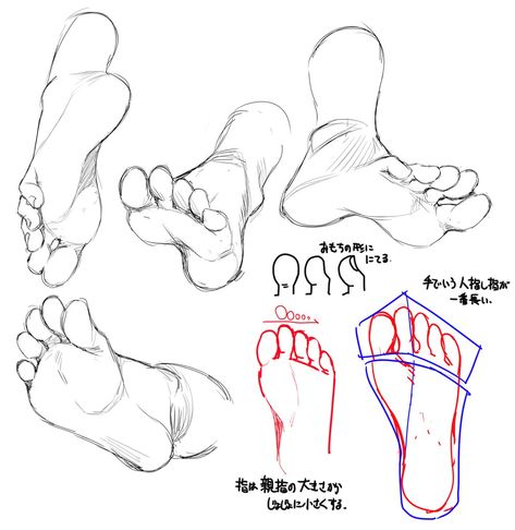 Feet Drawing, Pencil Drawing Tutorials, Human Anatomy Drawing, Hand Drawing Reference, Human Anatomy Art, Anatomy Sketches, Body Reference Drawing, Drawing Studies, Sketches Tutorial