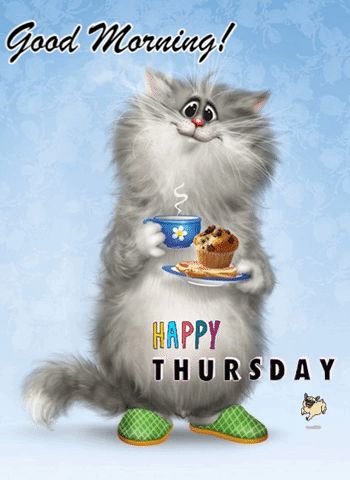 Morning Thursday, Happy Thursday Gif, Happy Thursday Funny, Happy Thursday Cartoon, Good Morning Thursday Cats, Gif Thursday Good Morning, Funny Tuesday Memes Hilarious, Thursday Meme Funny, Happy Thursday Pictures