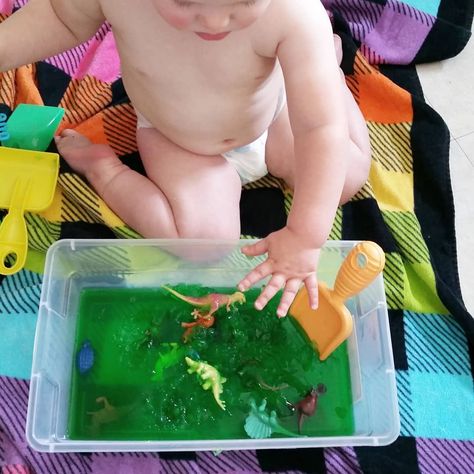 Jello Dig Sensory Play, Jello Dig, Dinosaur Activity, Dinosaur Activities Preschool, Jelly Babies, Dinosaur Activities, Activities Preschool, Dinosaur Theme, Play Based