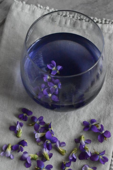 Beautiful Blue Tea with Foraged Violets | indie herbalist Edible Roots, Violets Flowers, Spring Salads, Tea Blends Recipes, Pumpkin Tea, Spring Treats, Jewish Food, Violet Plant, Vinegar And Honey