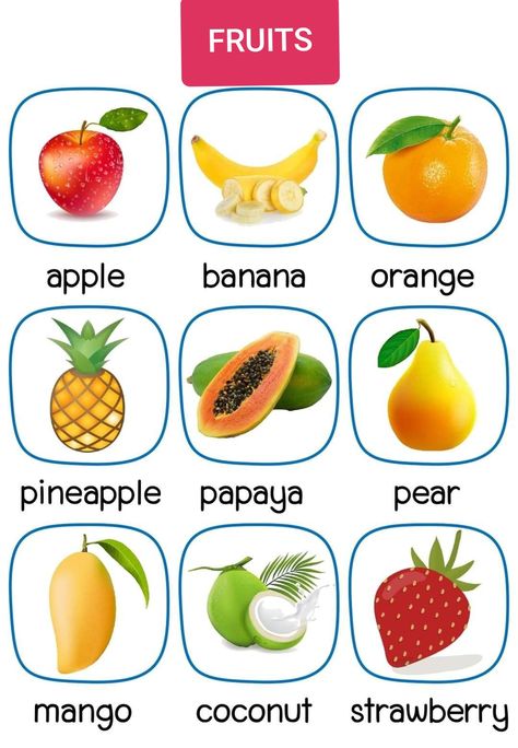 Fruits #fruits vocabulary # fruits name Materi Bahasa Inggris, English Learning Books, English Activities For Kids, Kids Worksheets Preschool, Learning English For Kids, English Phonics, Flashcards For Kids, English Worksheets For Kids, Kids English