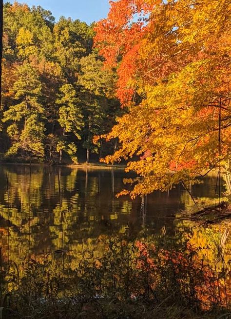 Oak Mountain State Park ~ November, 2019 Photo by Melinda Hedrick State Park, Getting Out, Alabama, State Parks, Yard, Natural Landmarks, In This Moment, Water, Travel