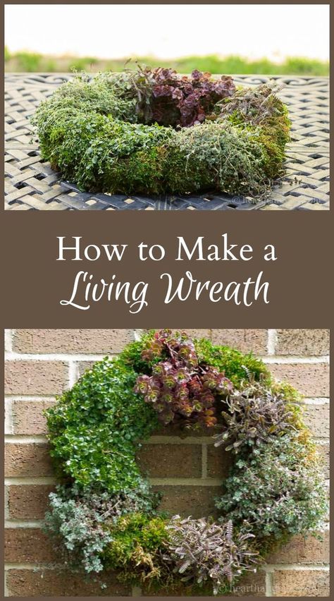 Cactus Arrangement, Living Wreath, Moss Wreath, Patio Layout, Plant Crafts, Garden Vines, Succulent Wreath, Outdoor Wreaths, Garden Christmas