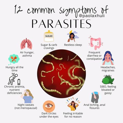 Parasites are extremely stealthy! They can cause chronic symptoms and are very hard to diagnose. Before I started doing parasite cleanses… | Instagram Signs Of Parasites In Humans, Parasite Cleanse Recipes, Parasite Symptoms, Parasite Cleanse Diet, Herbal Parasite Cleanse, Parasites Symptoms, Nutrition Knowledge, Clean Gut, Fibroid Diet