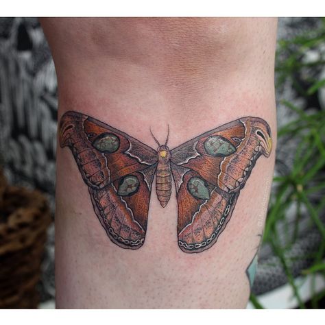 Tattoo Stone, Turquoise Tattoo, Oregon Tattoo, Portland Tattoo, Emperor Moth, Stone Tattoo, Usa Tattoo, Mushroom Tattoos, Snake Tattoo