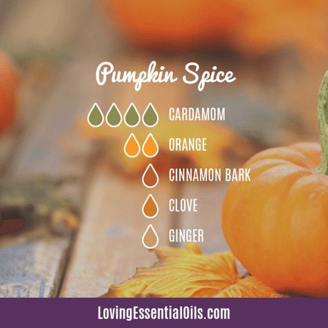 Doterra Pumpkin Spice Blend, Pumpkin Spice Essential Oil Recipe, Pumpkin Spice Oil Blend, Cardamom Oil Blends, Pumpkin Spice Essential Oil Blend Recipe, Pumpkin Spice Diffuser Blend, Pumpkin Spice Essential Oil Blend, Cardamom Diffuser Blends, Pumpkin Essential Oil Blend