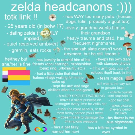 tags,, ignore: #zelda #tearsofthekingdom #thelegendofzelda #headcanons #totk #breathofthewild #botw #tloz Zelda Headcanon, Legend Of Zelda Headcanons, Link Headcanon, Link Totk, Lilly Grace, Zelda Totk, Childhood Games, The Legend Of Zelda, Legend Of Zelda