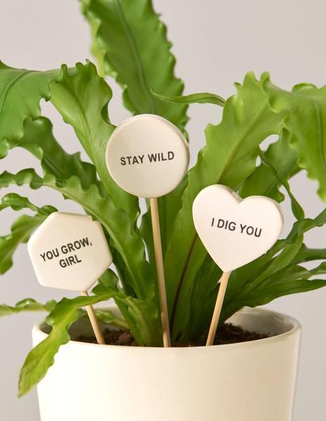 Ceramic Message Pops Making Plant Pots, Classic Candy, Winter Plants, Plant Supplies, Spring Plants, Houseplants Indoor, Monstera Plant, Propagating Plants, Diy Plants