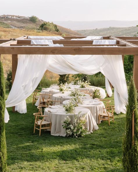 teresa ann photo • socal light & airy photographer (@teresannphoto_) • Instagram photos and videos Corporative Events, Willow Tree Wedding, Baby Blue Weddings, Lake Como Wedding, Organic Wedding, Tree Wedding, Wedding Aisle, Wedding Tablescapes, Wedding Mood