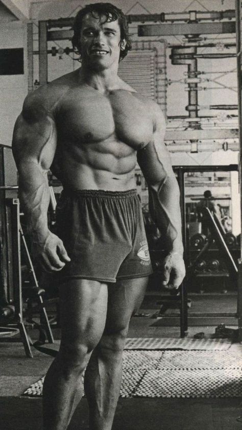 Ronnie Coleman Wallpaper, Arnold Schwarzenegger Gym, Arnold Bodybuilding, Absolute Unit, Arnold Schwarzenegger Bodybuilding, Schwarzenegger Bodybuilding, Gym Wallpaper, Bodybuilding Pictures, Ronnie Coleman