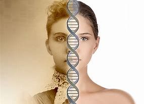 MyNutritionBusiness: Definition Of 'Epigenetics' Clarified Dna Replication, Family Structure, Dna Sequence, Cell Division, Gene Expression, Past Lives, Molecular Structure, Dna Test, Do You Believe