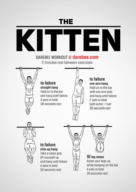 The Kitten workout. Bar Workouts, Calisthenics Workouts, Pull Up Workout, Calisthenics Workout Plan, Climbing Workout, Military Workout, Arm Workout Women, Gym Workout Chart, Bar Workout