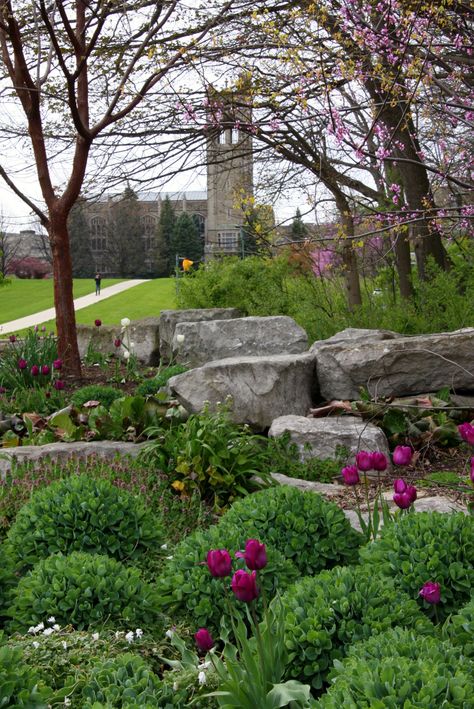 Bell tower at University of Western Ontario University Of Western Ontario, Western University, City Photos, Bell Tower, University Life, Ontario, City Photo, Mood Board, Favorite Places