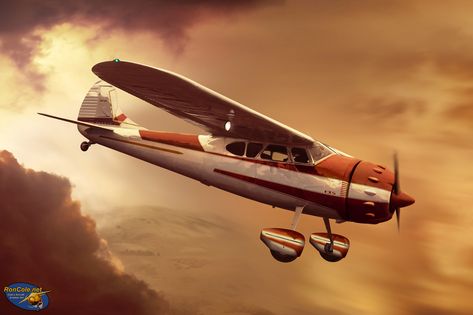 Cessna 195, Cessna 210, Bush Pilot, Cessna Aircraft, Cessna 172, Private Aircraft, Airplane Art, Facebook Pixel, Flying Car