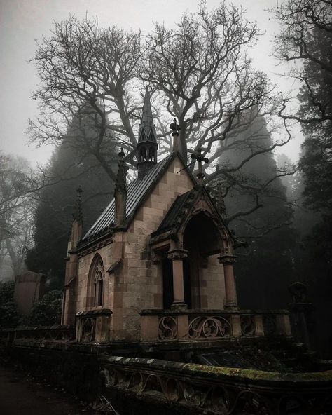 Goth Cathedral, Vampire Hunter Aesthetic, Gothic Village, Gothic Architecture Interior, Goth Architecture, Southern Gothic Aesthetic, Dark Window, Cemeteries Photography, Speakeasy Bar