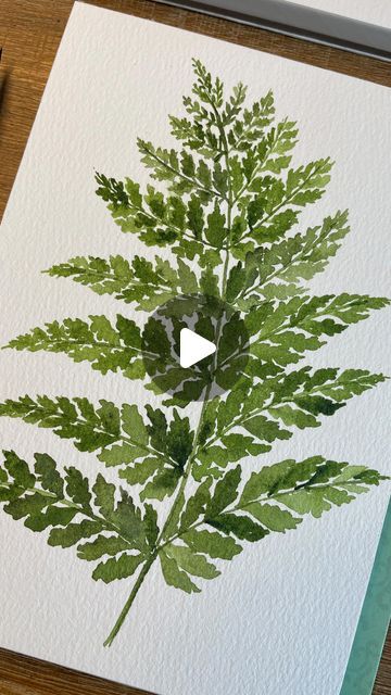 Fern Leaf Painting, How To Paint Ferns, Watercolor Ferns Paintings, Watercolor Moss, Fern Painting, Watercolour Journal, Fern Watercolor, Watercolor Botanicals, Watercolor Videos