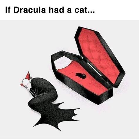 If Dracula had a cat. (so true) Drunk Memes, Meme Page, Funny Cat Memes, Cartoon Jokes, Edgy Memes, Best Funny Pictures, Dracula, Animal Memes, Best Memes